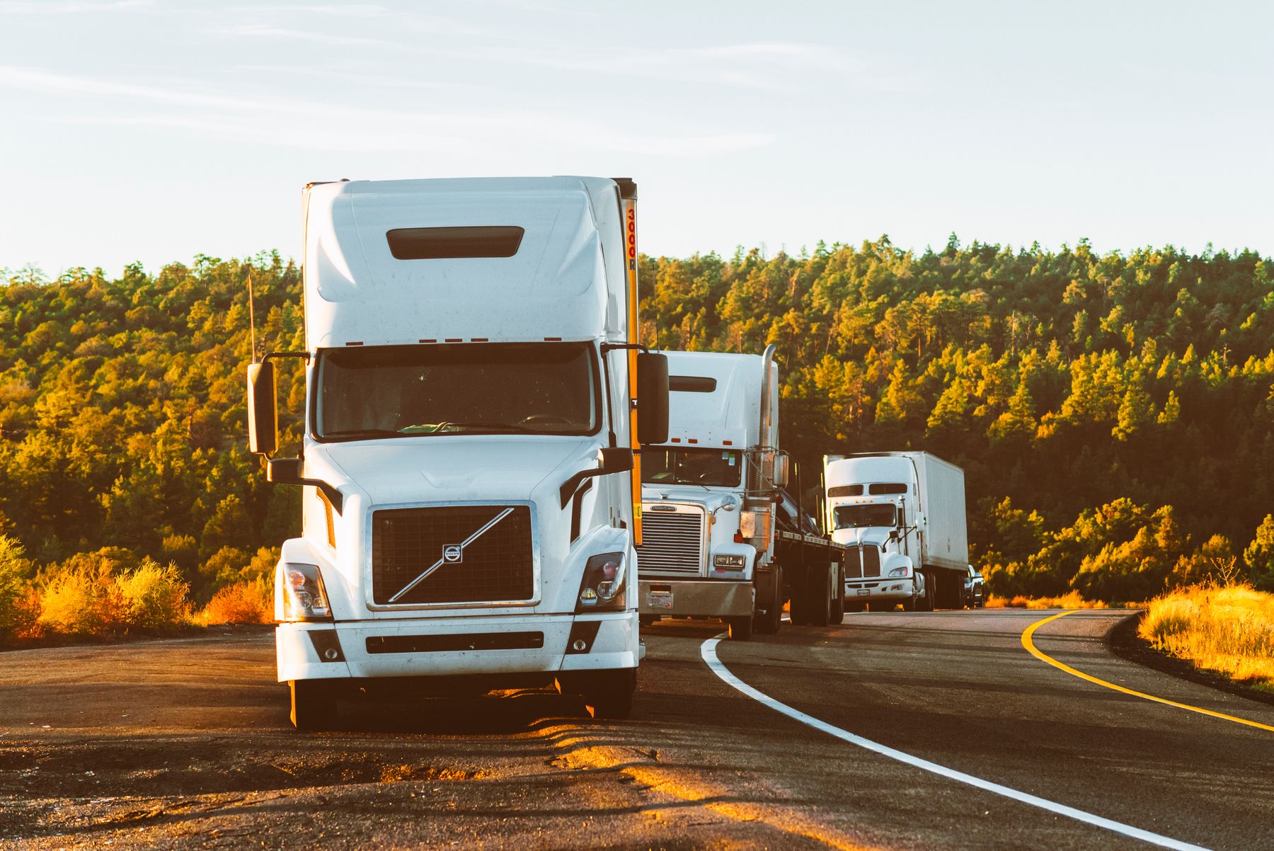Caminhões de carga seguem por uma rodovia entre árvores